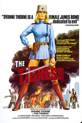 常平镇服装网站优化收费